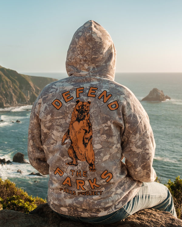 Shop Defend the Parks Bear Hoodie Inspired by Protecting National Parks | camo
