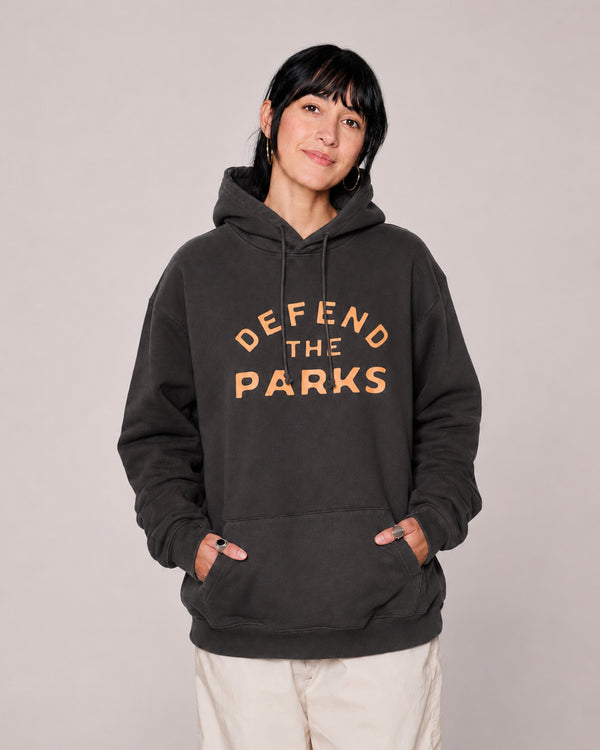 Shop Defend the Parks Bear Hoodie Inspired by Protecting National Parks | vintage-black