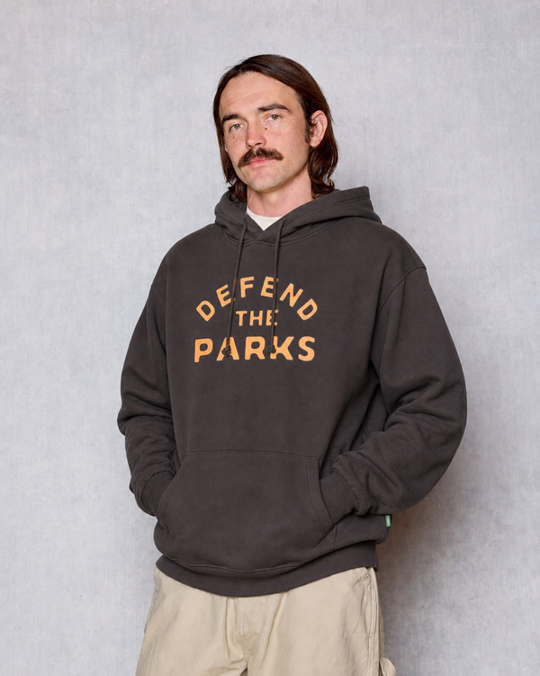 Shop Defend the Parks Bear Hoodie Inspired by Protecting National Parks  vintage-black
