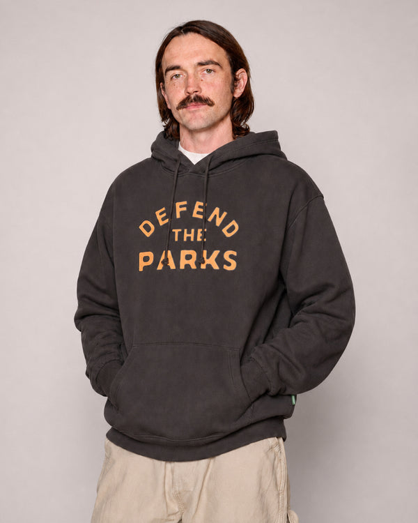 Shop Defend the Parks Bear Hoodie Inspired by Protecting National Parks | vintage-black