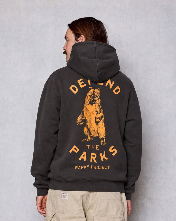 Shop Defend the Parks Bear Hoodie Inspired by Protecting National Parks  vintage-black
