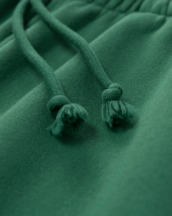 Shop Parks Project x Audubon Sweatpant Inspired by Birds in National Parks | forest-green