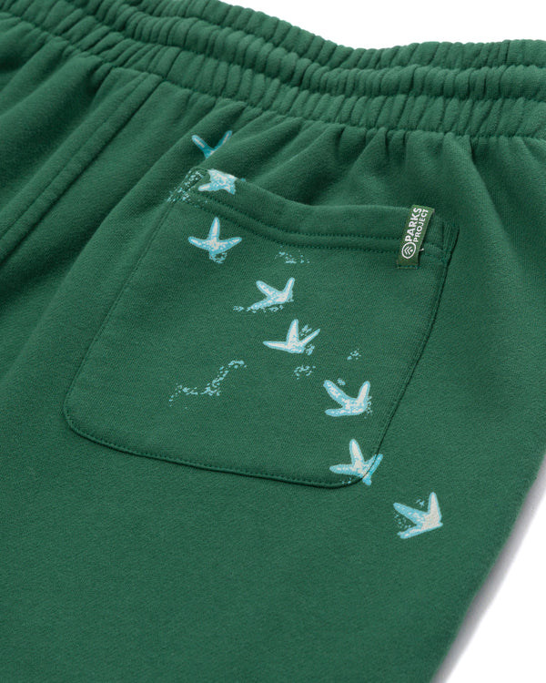 Shop Parks Project x Audubon Sweatpant Inspired by Birds in National Parks | forest-green