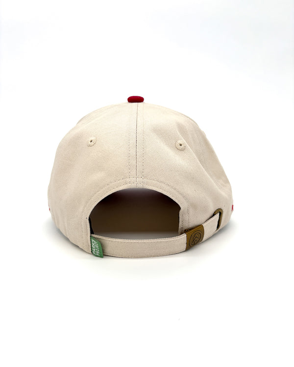 Shop Zion Vintage Patch Hat Inspired by Zion National Park | natural-and-red