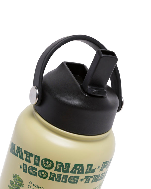 Shop Iconic Trees Checklist 32oz. Insulated Water Bottle Inspired by Parks | light-green