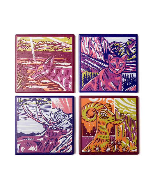 Shop National Park Naturalist Coaster Set Inspired by National Parks | multi-color
