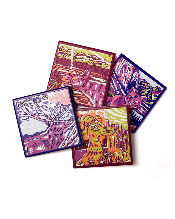Shop National Park Naturalist Coaster Set Inspired by National Parks | multi-color