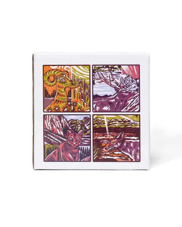 Shop National Park Naturalist Coaster Set Inspired by National Parks | multi-color