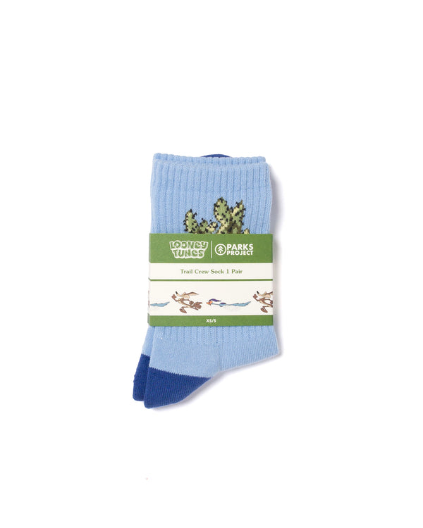 Shop Looney Tunes x Parks Project Trail Sock Inspired by Desert Parks | blue