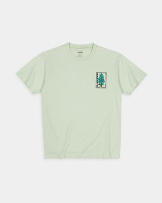 Shop Sequoia Spirit Tee Inspired by Sequoia National Park | hushed-green
