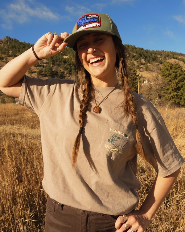 Shop Yellowstone Puff Print Pocket Tee Inspired by Yellowstone NP | mushroom-grey