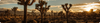 height image