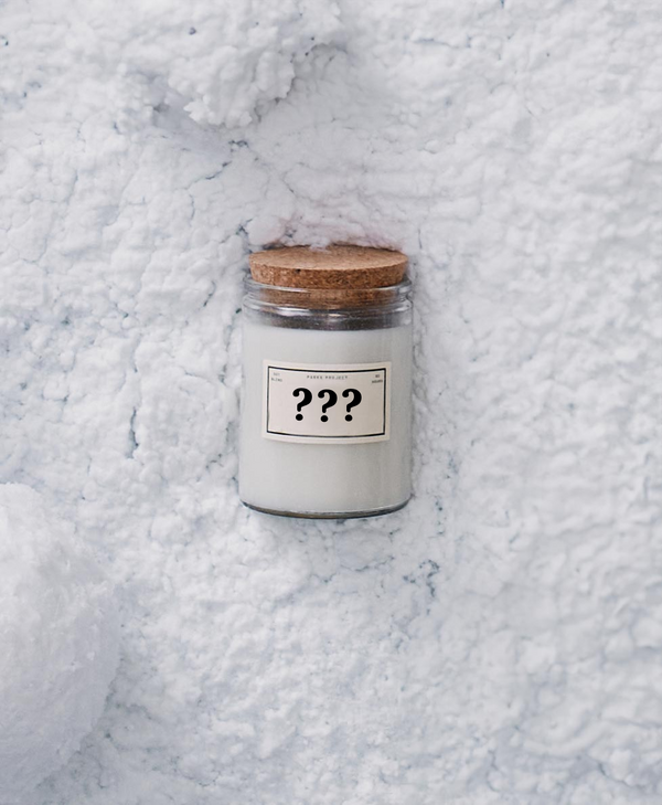 Shop Mystery Candle Inspired by National Parks | multi-color
