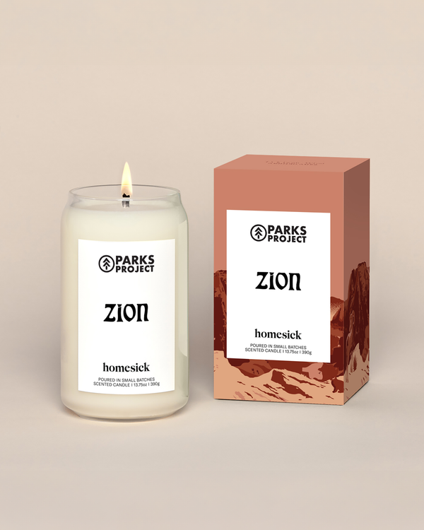 Shop Homesick x Parks Project Zion Candle inspired by Zion National Park | rust