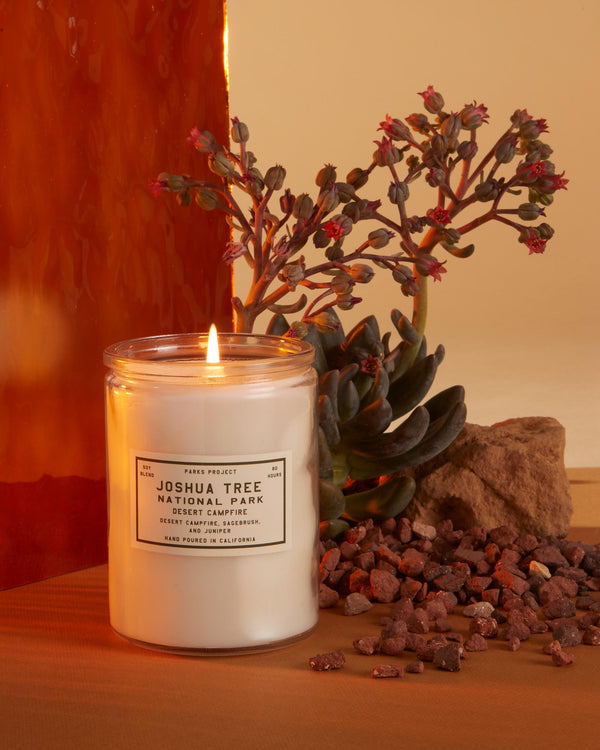 Shop Joshua Tree Desert Campfire Candle Inspired by Joshua Tree NP | clear