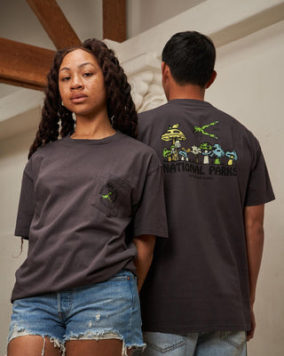 Shop National Parks Fungi Pocket Tee Inspired by our National Parks | graphite
