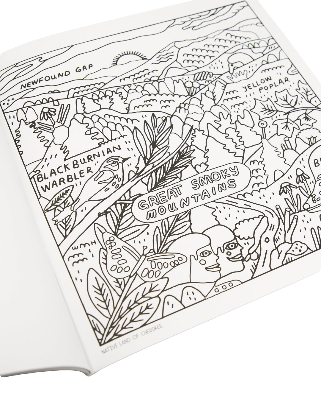 Shop Our National Parks Coloring Book Inspired by our National Parks