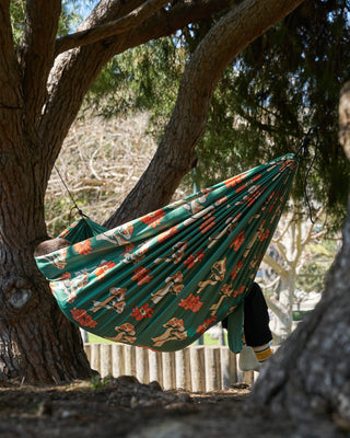 Shop Shrooms Two Person Hammock Inspired by our National Parks | multi-color