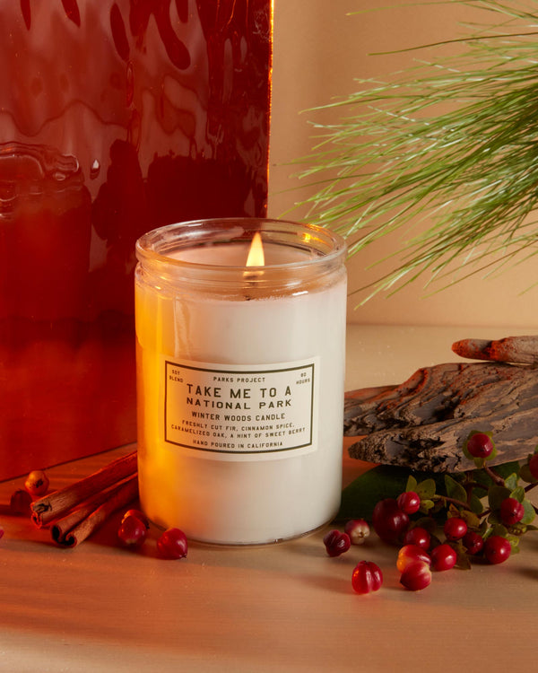 Shop Take Me to the Parks Winter Woods Candle Inspired by our Parks | clear